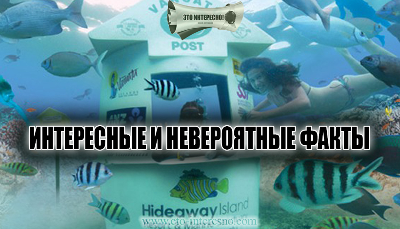 ИНТЕРЕСНЫЕ И НЕВЕРОЯТНЫЕ ФАКТЫ. ТОП-59