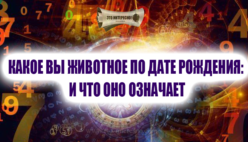 КАКОЕ ВЫ ЖИВОТНОЕ ПО ДАТЕ РОЖДЕНИЯ: И ЧТО ОНО ОЗНАЧАЕТ