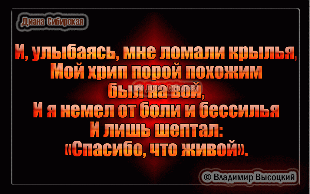 10 ЛУЧШИХ ЦИТАТ  ВЛАДИМИРА  ВЫСОЦКОГО