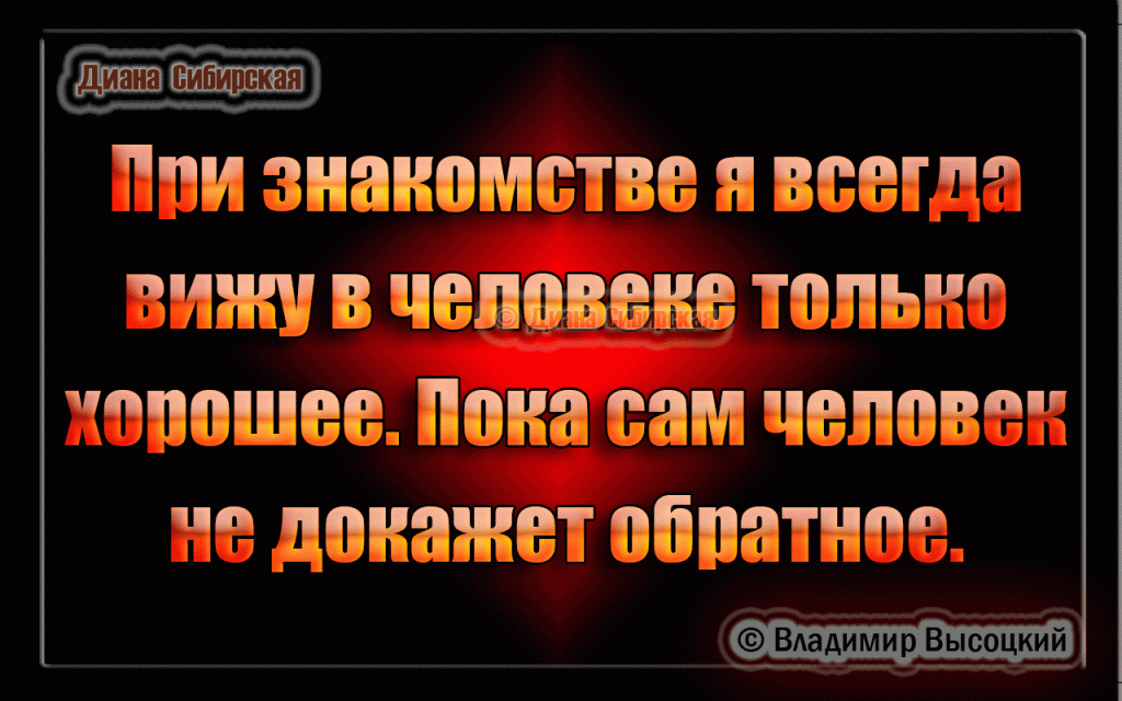 10 ЛУЧШИХ ЦИТАТ  ВЛАДИМИРА  ВЫСОЦКОГО