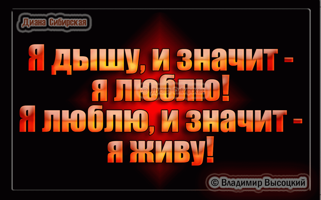 10 ЛУЧШИХ ЦИТАТ  ВЛАДИМИРА  ВЫСОЦКОГО