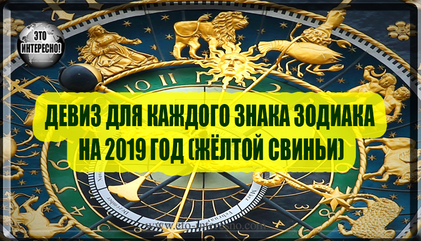 ГЛАВНОЕ СЛОВО-ДЕВИЗ ДЛЯ КАЖДОГО ЗНАКА ЗОДИАКА НА ГОД ЖЁЛТОЙ СВИНЬИ 2019