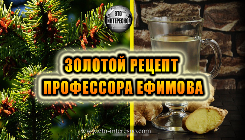 ЗОЛОТОЙ РЕЦЕПТ ПРОФЕССОРА ЕФИМОВА