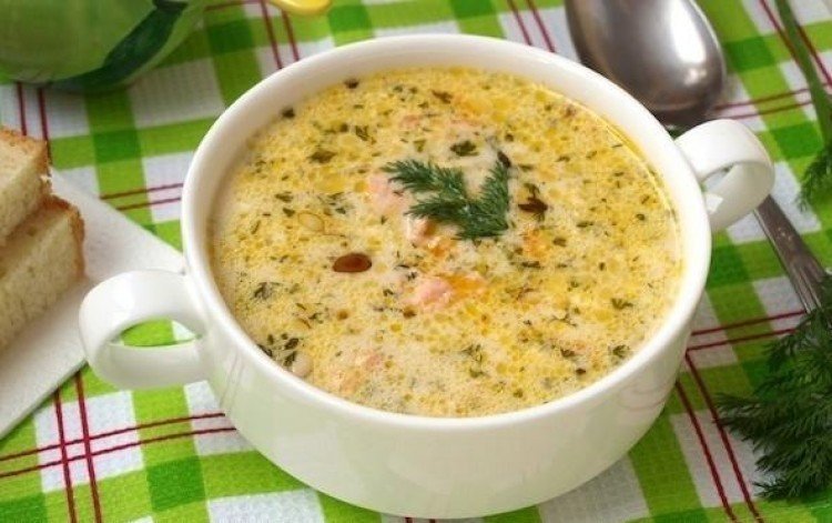 ПЕРВЫЕ БЛЮДА-БЫСТРО И ВКУСНО: 9 РЕЦЕПТОВ