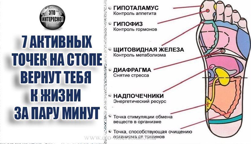 7 АКТИВНЫХ ТОЧЕК НА СТОПЕ ВЕРНУТ ТЕБЯ К ЖИЗНИ ЗА ПАРУ МИНУТ