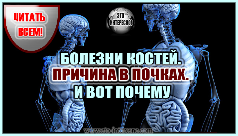 БОЛЕЗНИ КОСТЕЙ. ПРИЧИНА В ПОЧКАХ. И ВОТ ПОЧЕМУ. ЧИТАТЬ ОБЯЗАТЕЛЬНО!