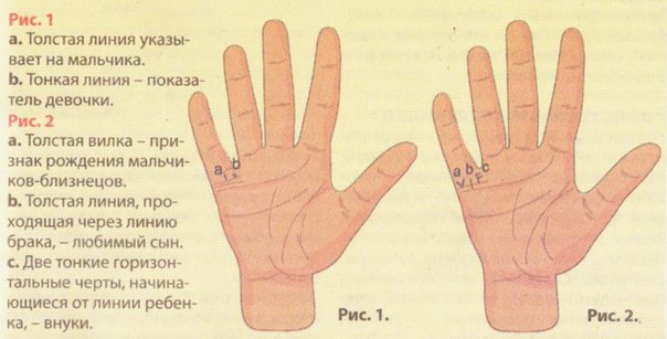 СКОЛЬКО У ВАС БУДЕТ ДЕТЕЙ И КАКОГО ПОЛА. ОТВЕТ НА ВАШЕЙ РУКЕ