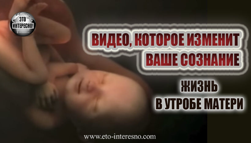 ВИДЕО, КОТОРОЕ ИЗМЕНИТ ВАШЕ СОЗНАНИЕ. ЖИЗНЬ В УТРОБЕ МАТЕРИ (9 МЕСЯЦЕВ ЗА 4 МИНУТЫ)