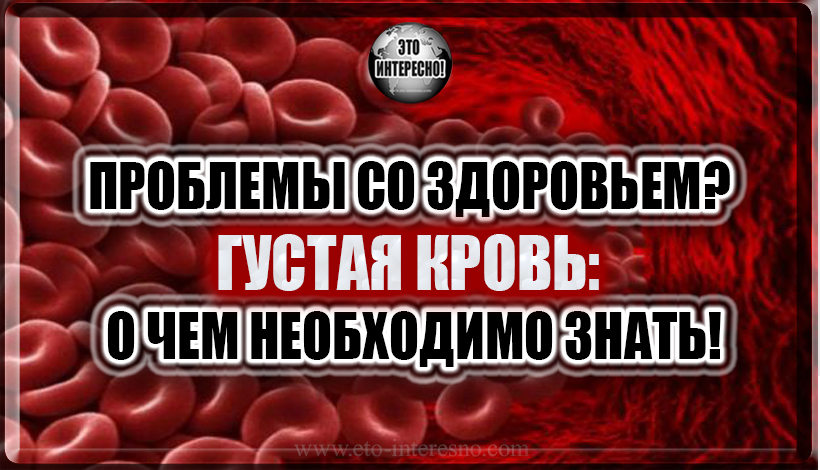 ПРОБЛЕМЫ СО ЗДОРОВЬЕМ? ГУСТАЯ КРОВЬ: О ЧЕМ НЕОБХОДИМО ЗНАТЬ!?