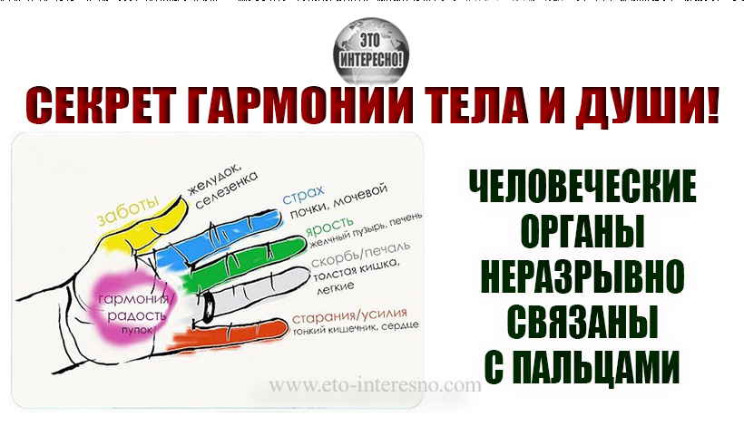 ЧЕЛОВЕЧЕСКИЕ ОРГАНЫ НЕРАЗРЫВНО СВЯЗАНЫ С ПАЛЬЦАМИ. СЕКРЕТ ГАРМОНИИ ТЕЛА И ДУШИ!