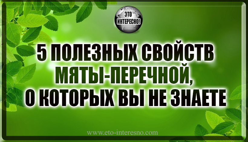 5 ПОЛЕЗНЫХ СВОЙСТВ МЯТЫ, О КОТОРЫХ ВЫ СКОРЕЕ ВСЕГО НЕ ЗНАЕТЕ