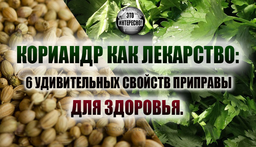 КОРИАНДР КАК ЛЕКАРСТВО: 6 УДИВИТЕЛЬНЫХ СВОЙСТВ ПРИПРАВЫ ДЛЯ ЗДОРОВЬЯ