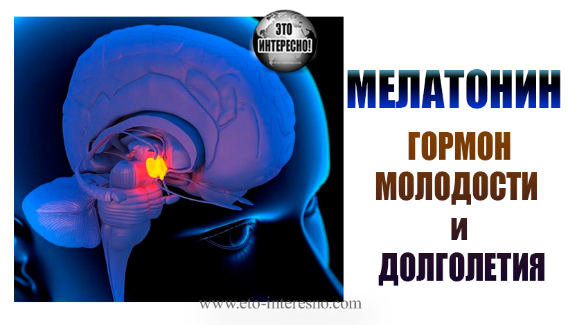 МЕЛАТОНИН - ГОРМОН ВЕЧНОЙ МОЛОДОСТИ и ФАКТОР ДОЛГОЛЕТИЯ