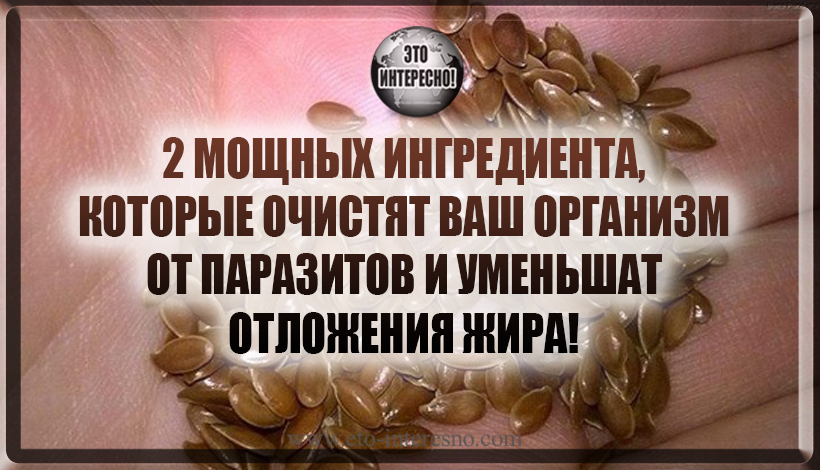 2 МОЩНЫХ ИНГРЕДИЕНТА, КОТОРЫЕ ОЧИСТЯТ ВАШ ОРГАНИЗМ ОТ ПАРАЗИТОВ И УМЕНЬШАТ ОТЛОЖЕНИЯ ЖИРА!