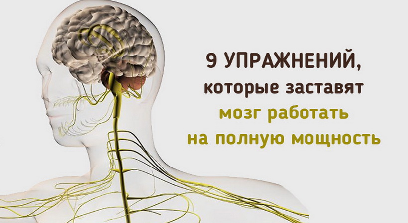 9 КИНЕЗИОЛОГИЧЕСКИХ УПРАЖНЕНИЙ, КОТОРЫЕ ЗАСТАВЯТ МОЗГ РАБОТАТЬ НА ПОЛНУЮ МОЩНОСТЬ