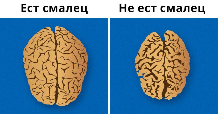 ЭТИ 12 ПРОДУКТОВ ОКАЗЫВАЮТ СТРАННОЕ ВЛИЯНИЕ НА ВАШУ ПСИХИКУ