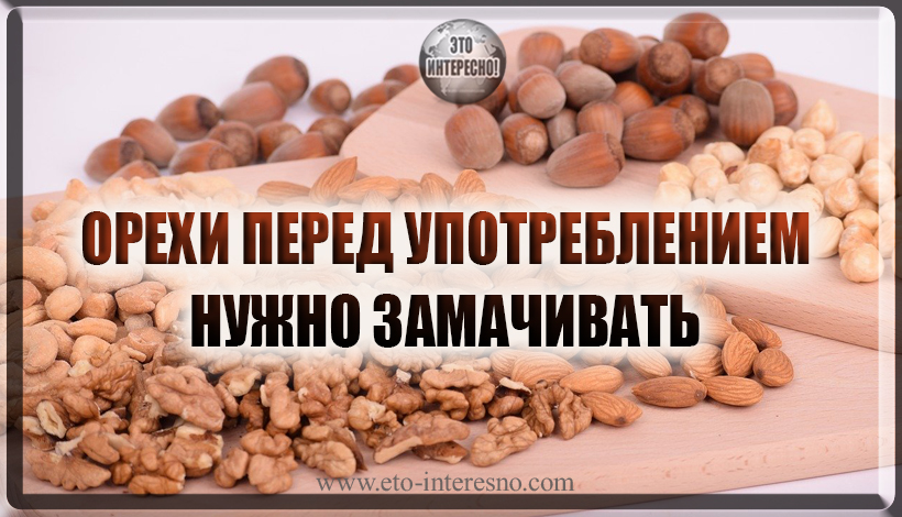 ОРЕХИ ПЕРЕД УПОТРЕБЛЕНИЕМ НУЖНО ЗАМАЧИВАТЬ. УЗНАЙ ПРИЧИНЫ И ВРЕМЯ ДЛЯ КАЖДОГО ИХ ВИДА