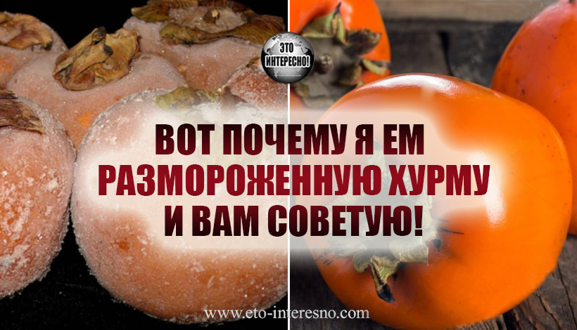 ВОТ ПОЧЕМУ Я ЕМ  РАЗМОРОЖЕННУЮ ХУРМУ И ВАМ СОВЕТУЮ!