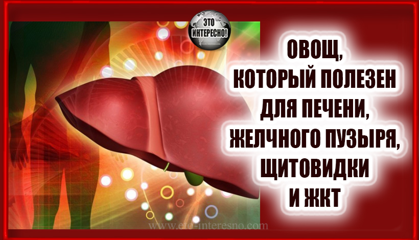 ЭТОТ ОВОЩ ПОЛЕЗЕН ДЛЯ ЗДОРОВЬЯ ПЕЧЕНИ, ЖЕЛЧНОГО ПУЗЫРЯ, ЩИТОВИДНОЙ ЖЕЛЕЗЫ И ЖКТ