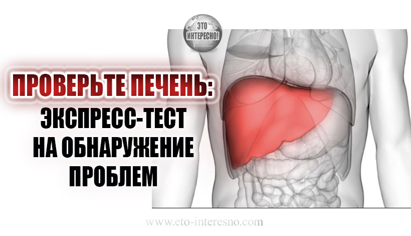 ПРОВЕРЬТЕ ПЕЧЕНЬ: ЭКСПРЕСС-ТЕСТ НА ОБНАРУЖЕНИЕ ПРОБЛЕМ