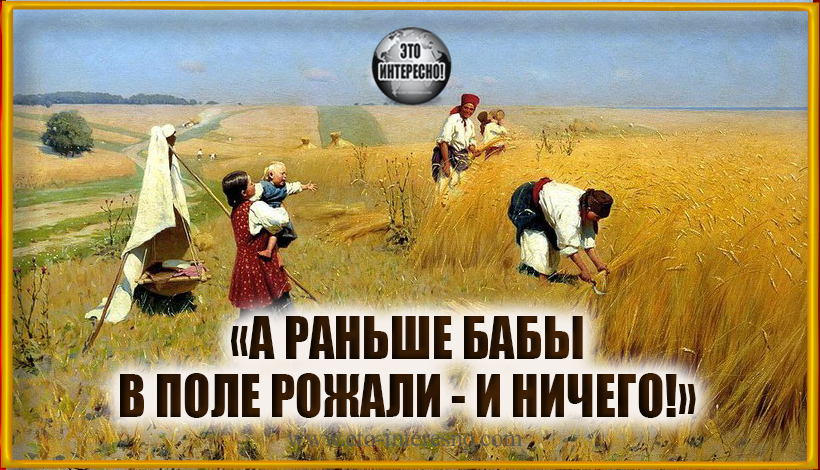 «А РАНЬШЕ БАБЫ В ПОЛЕ РОЖАЛИ — И НИЧЕГО!» 