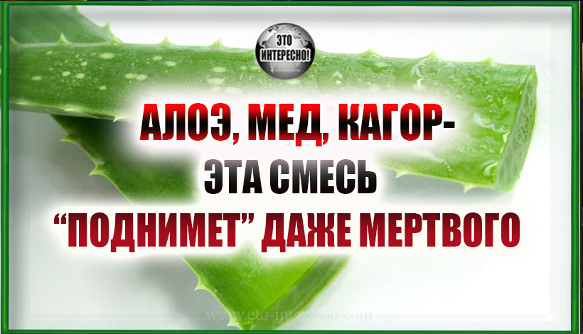 АЛОЭ, МЕД, КАГОР — ЭТА СМЕСЬ “ПОДНИМЕТ” ДАЖЕ МЕРТВОГО