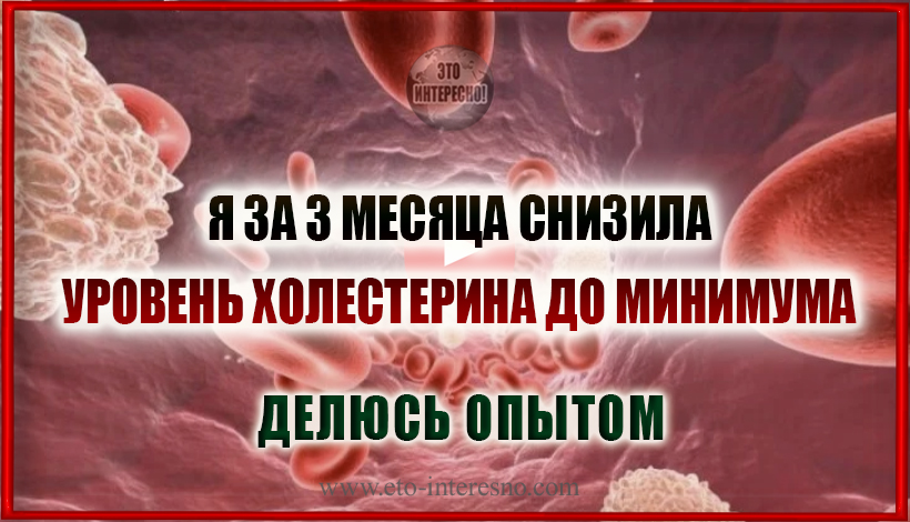 КАК МНЕ ЗА 3 МЕСЯЦА УДАЛОСЬ СНИЗИТЬ УРОВЕНЬ ХОЛЕСТЕРИНА ДО МИНИМУМА. ДЕЛЮСЬ ОПЫТОМ