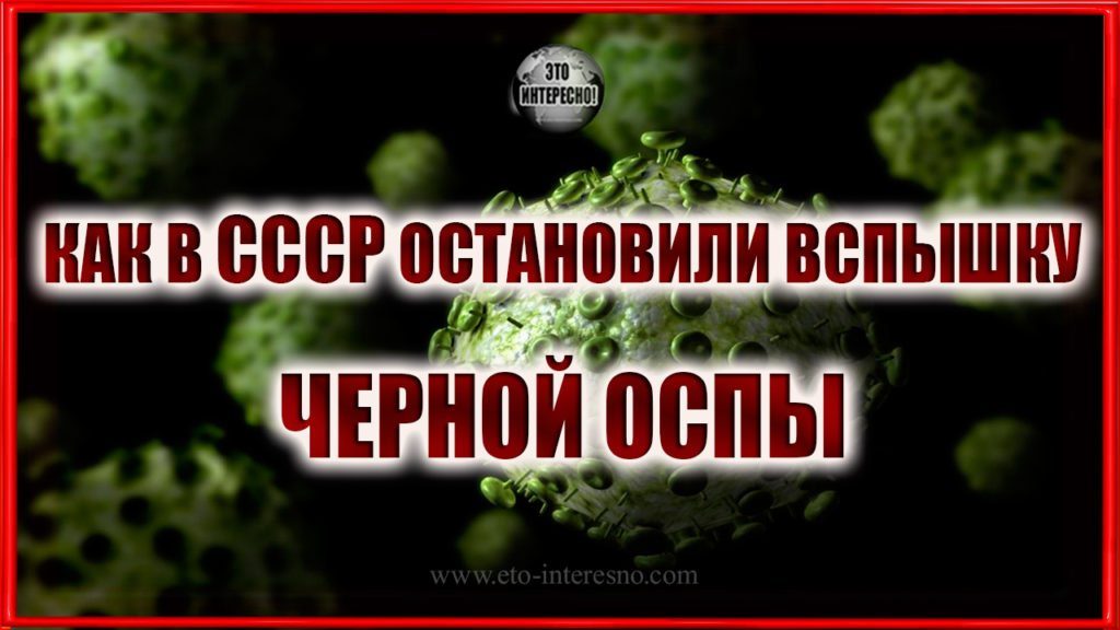 КАК В СССР ОСТАНОВИЛИ ВСПЫШКУ ЧЕРНОЙ ОСПЫ, ОТ КОТОРОЙ В 1960 ГОДУ ЧУТЬ НЕ ВЫМЕРЛА ВСЯ МОСКВА