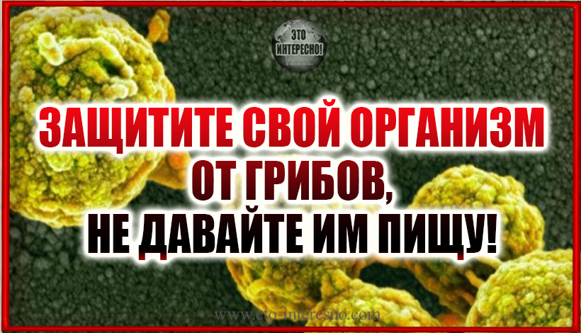 ЗАЩИТИТЕ СВОЙ ОРГАНИЗМ ОТ ГРИБОВ, НЕ ДАВАЙТЕ ИМ ПИЩУ!