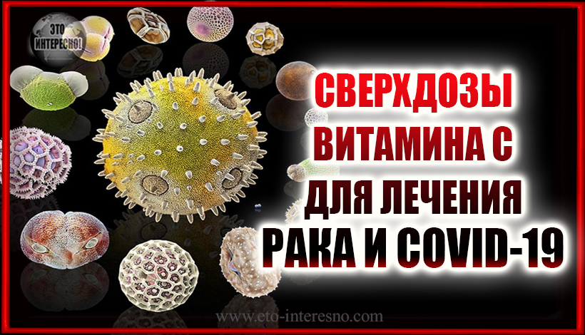 УЧЕНЫЕ: СВЕРХДОЗЫ ВИТАМИНА С ДЛЯ ЛЕЧЕНИЯ РАКА И COVID-19