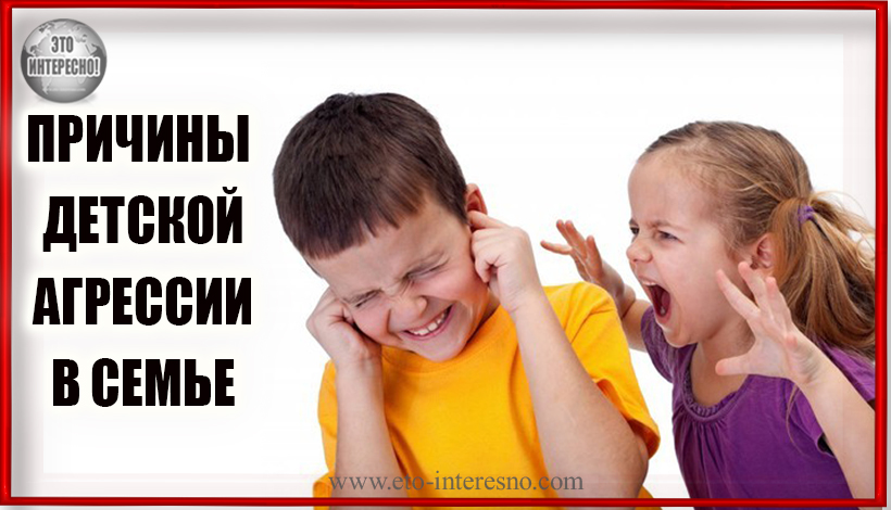 НЕЗДОРОВАЯ АТМОСФЕРА В СЕМЬЕ, НЕХВАТКА ВНИМАНИЯ И ДРУГИЕ ПРИЧИНЫ ВОЗНИКНОВЕНИЯ ДЕТСКОЙ АГРЕССИИ