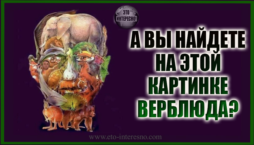 БОЛЕЗНЬ АЛЬЦГЕЙМЕРА ВАМ НЕ ГРОЗИТ, ЕСЛИ ВЫ  НАЙДЕТЕ НА ЭТОЙ КАРТИНКЕ ВЕРБЛЮДА