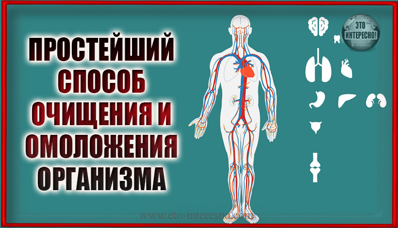 ВРАЧ ДИПАК ЧОПРА: ПРОСТЕЙШИЙ СПОСОБ ОЧИЩЕНИЯ И ОМОЛОЖЕНИЯ ОРГАНИЗМА