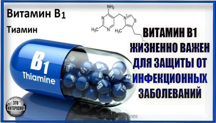 ВИТАМИН B1 ЖИЗНЕННО ВАЖЕН ДЛЯ ЗАЩИТЫ ОТ ИНФЕКЦИОННЫХ ЗАБОЛЕВАНИЙ