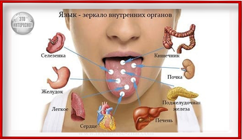 БЕЛЫЙ НАЛЕТ НА ЯЗЫКЕ - СЕРЬЕЗНЫЕ СИГНАЛЫ ЗДОРОВЬЯ. ПРИЧИНЫ ПОЯВЛЕНИЯ НАЛЕТА И ЛЕЧЕНИЕ