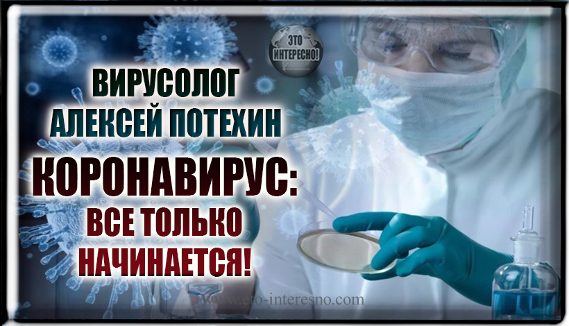 ВИРУСОЛОГ АЛЕКСЕЙ ПОТЕХИН: «КОРОНАВИРУС БОЛЬШЕ НИКУДА НЕ ДЕНЕТСЯ ИЗ НАШЕЙ ЖИЗНИ. ВСЕ ТОЛЬКО НАЧИНАЕТСЯ»