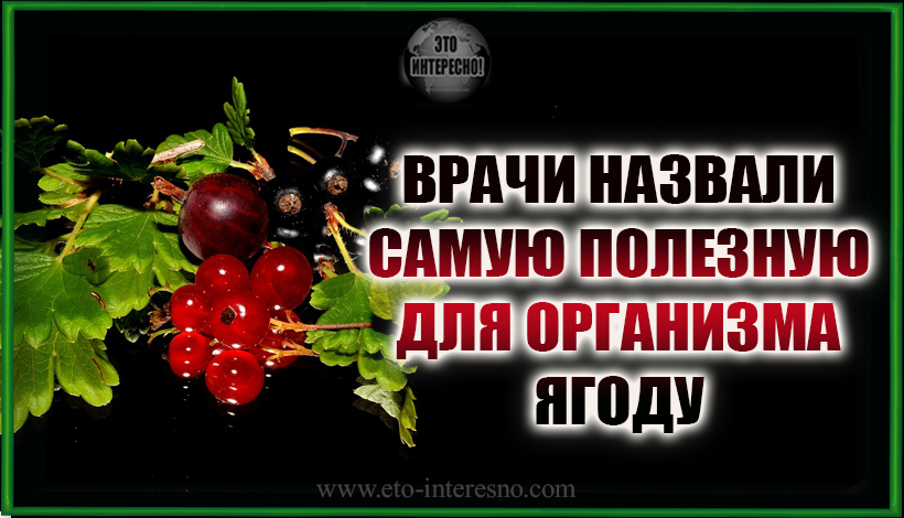 КЛАДЕЗЬ ВИТАМИНОВ: ВРАЧИ НАЗВАЛИ САМУЮ ПОЛЕЗНУЮ ДЛЯ ОРГАНИЗМА ЯГОДУ