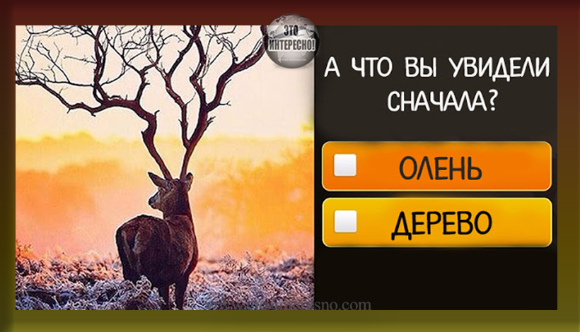 ТЕСТ: ВЫБЕРИТЕ НА КАРТИНКЕ ТО, ЧТО ВЫ УВИДЕЛИ С ПЕРВОГО ВЗГЛЯДА