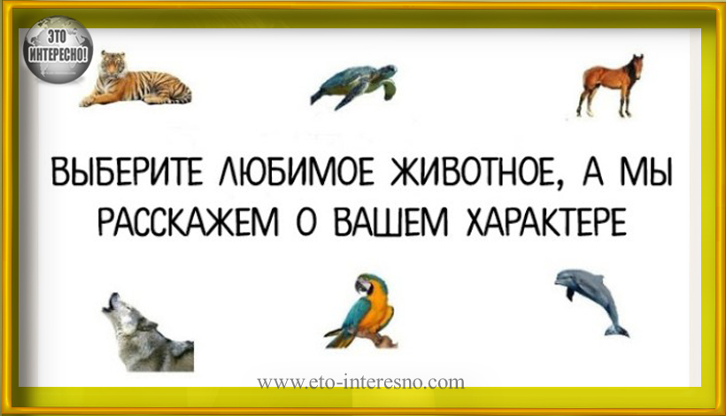 ВЫБЕРИТЕ ЛЮБИМОЕ ЖИВОТНОЕ, А МЫ РАССКАЖЕМ О ВАШЕМ ХАРАКТЕРЕ