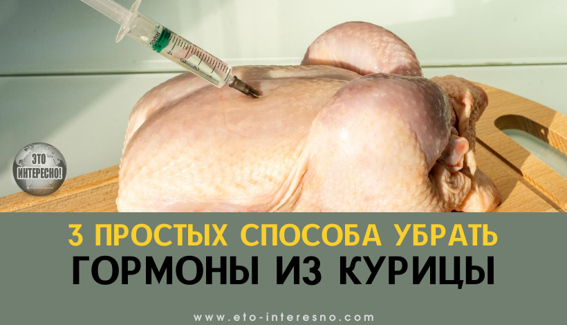 3 ПРОСТЫХ СПОСОБА УБРАТЬ ИЗ МАГАЗИННОЙ КУРИЦЫ ГОРМОНЫ И АНТИБИОТИКИ