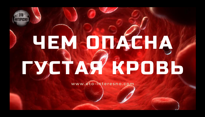 ПРОДУКТЫ, РАЗЖИЖАЮЩИЕ КРОВЬ. ПРЕКРАТИТЕ ГОЛОДАНИЕ ВНУТРЕННИХ ОРГАНОВ И ОБРАЗОВАНИЕ ТРОМБОВ!