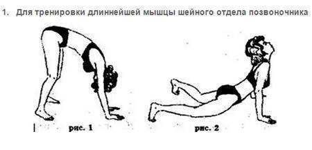 5 УПРАЖНЕНИЙ ПОЛЯ БРЕГГА ДЛЯ ВОССТАНОВЛЕНИЯ ПОЗВОНОЧНИКА