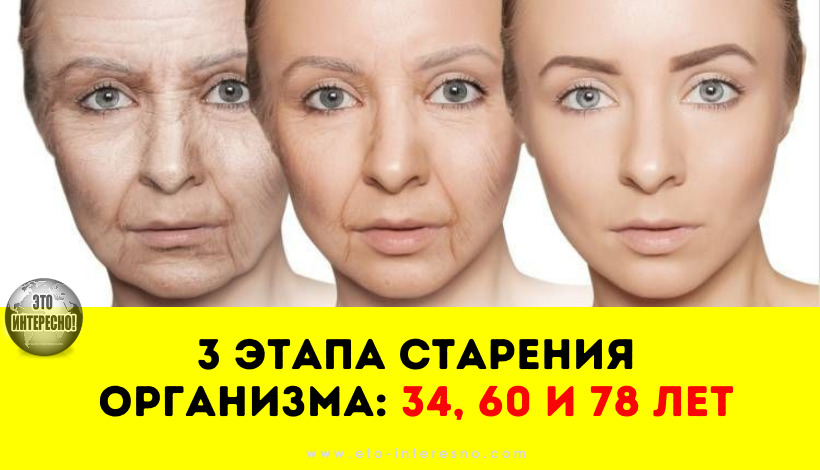 3 ЭТАПА СТАРЕНИЯ ОРГАНИЗМА: 34, 60 И 78 ЛЕТ