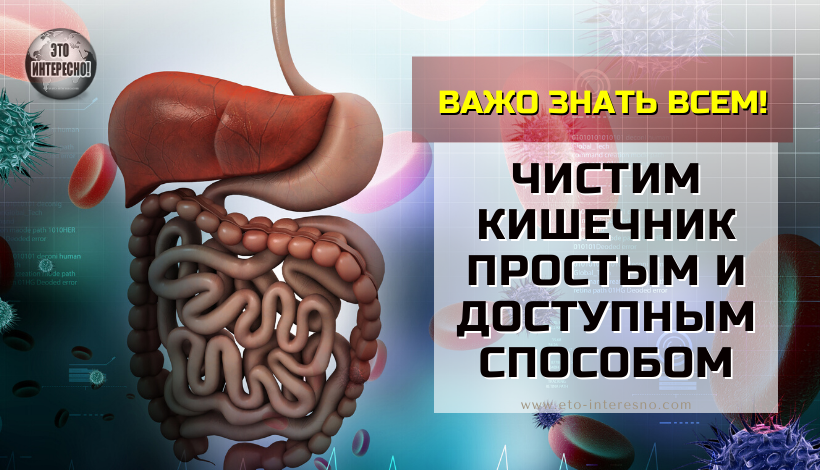 ПРОСТОЙ МEТОД «ГЕНЕРАЛЬНОЙ УБОРКИ» КИШЕЧНИКА - РЕШЕНИЕ МНОГИХ ПРОБЛEМ СО ЗДОРОВЬЕМ