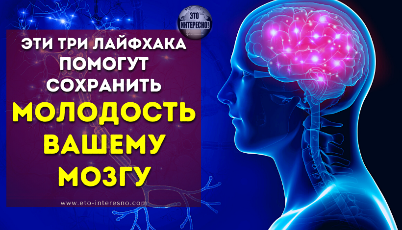 ЭТИ ТРИ ЛАЙФХАКА ПОМОГУТ СОХРАНИТЬ МОЛОДОСТЬ ВАШЕМУ МОЗГУ