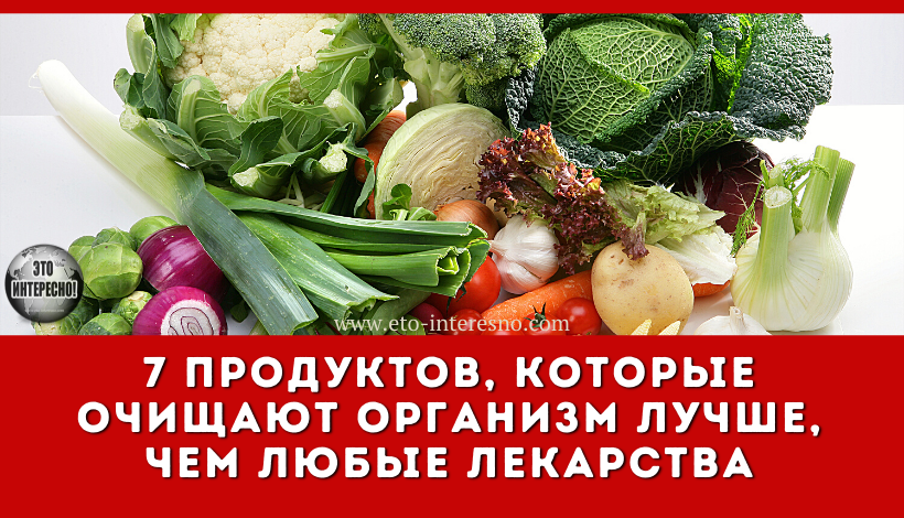 7 ПРОДУКТОВ, КОТОРЫЕ ОЧИЩАЮТ ОРГАНИЗМ ЛУЧШЕ, ЧЕМ ЛЮБЫЕ ЛЕКАРСТВА