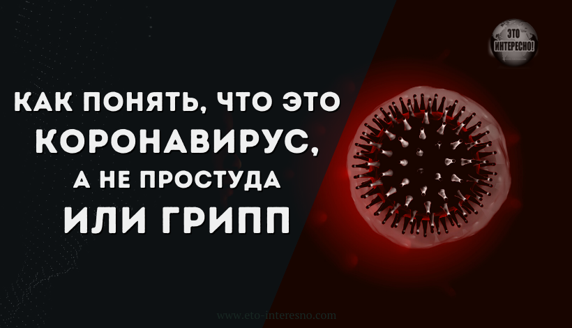 КАК ПОНЯТЬ, ЧТО ЭТО КОРОНАВИРУС, А НЕ ГРИПП ИЛИ ПРОСТУДА?