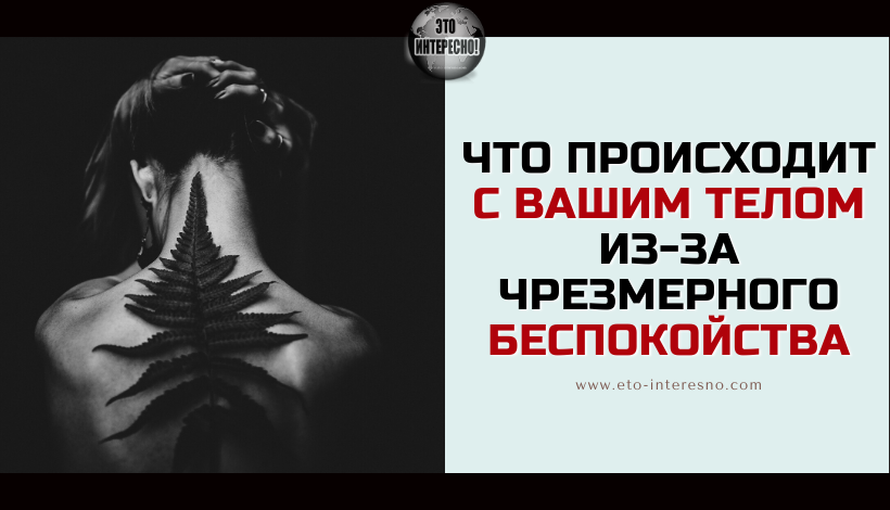 УЧЕНЫЕ ОБЪЯСНЯЮТ, ЧТО ПРОИСХОДИТ С ВАШИМ ТЕЛОМ ИЗ-ЗА ЧРЕЗМЕРНОГО БЕСПОКОЙСТВА