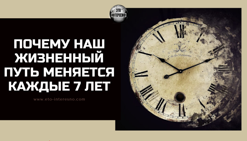 НАШ ЖИЗНЕННЫЙ ПУТЬ МЕНЯЕТСЯ КАЖДЫЕ 7 ЛЕТ И ВОТ ПОЧЕМУ