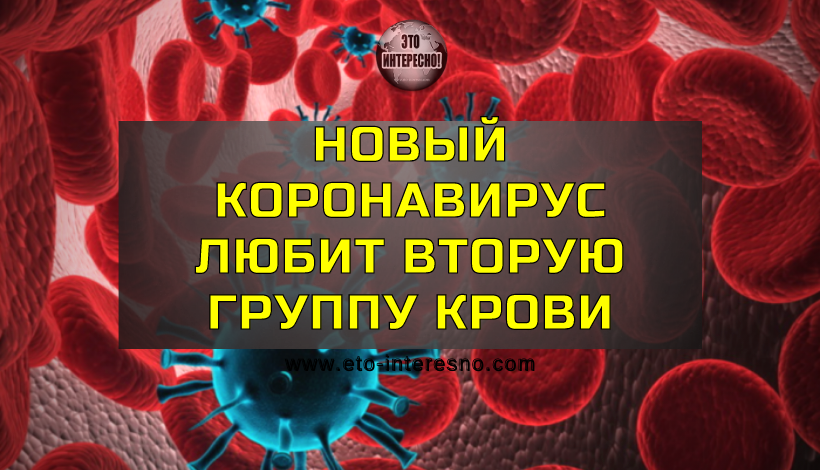 НОВЫЙ КОРОНАВИРУС ЛЮБИТ ВТОРУЮ ГРУППУ КРОВИ